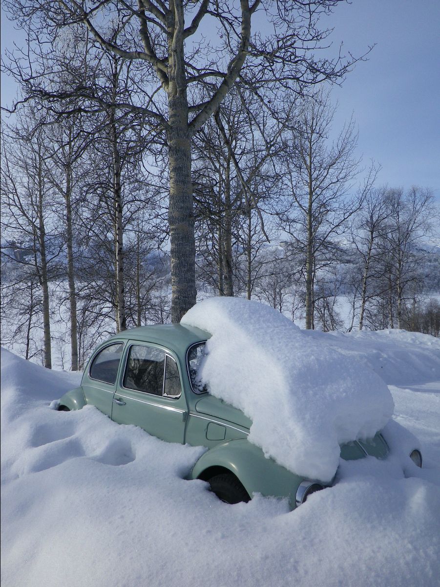 Ice Fishing41